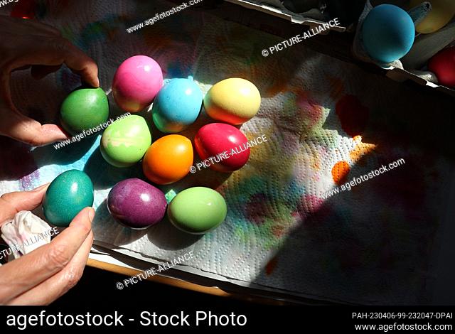 06 April 2023, Bavaria, Kaufbeuren: A woman sorts brightly colored eggs into an egg carton. Photo: Karl-Josef Hildenbrand/dpa