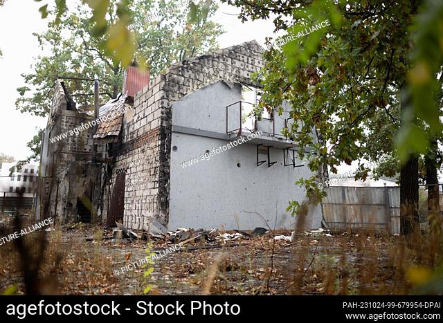 20 October 2023, Ukraine, Irpin: Plants grow around a destroyed house. The town near Kiev was partially destroyed by heavy fighting