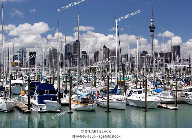 Westhaven Marina with the city and Sky Tower, Auckland, North Island, New Zealand, Pacific