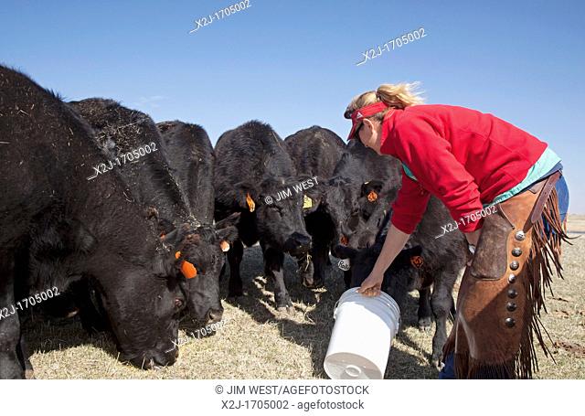 Stuart, Nebraska - Woman on her cattle ranch in Nebraska's Sandhills. She is an opponent of Transcanada's Keystone XL pipeline