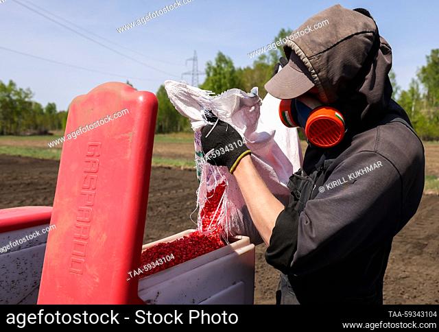 RUSSIA, NOVOSIBIRSK REGION - MAY 24, 2023: A worker helps load maize seeds into a seed drill on a farm of the Zerno Sibiri agricultural firm in the village of...