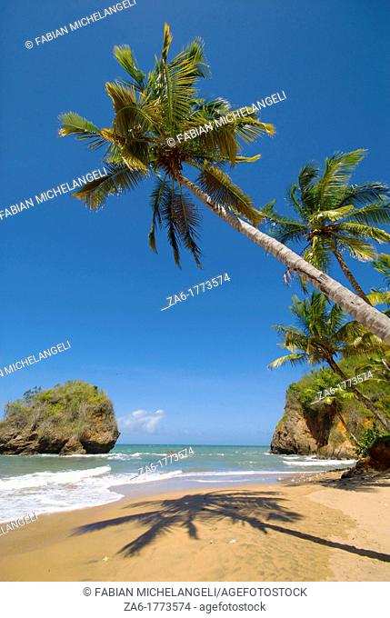 Tropical beach with palm trees in the eastern coast of Venezuela