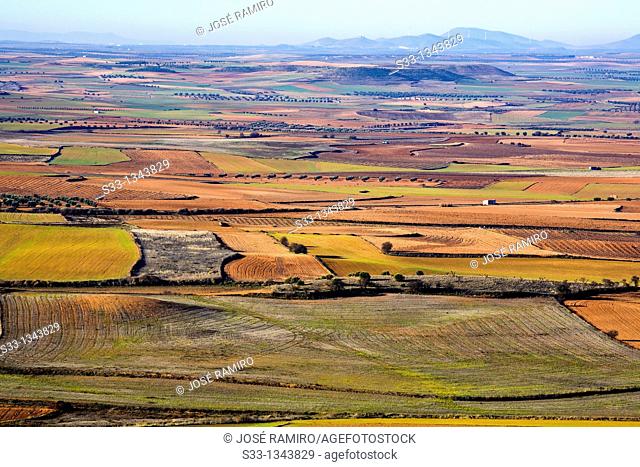 Fields in Castilla la Mancha from La Guardia Toledo Spain