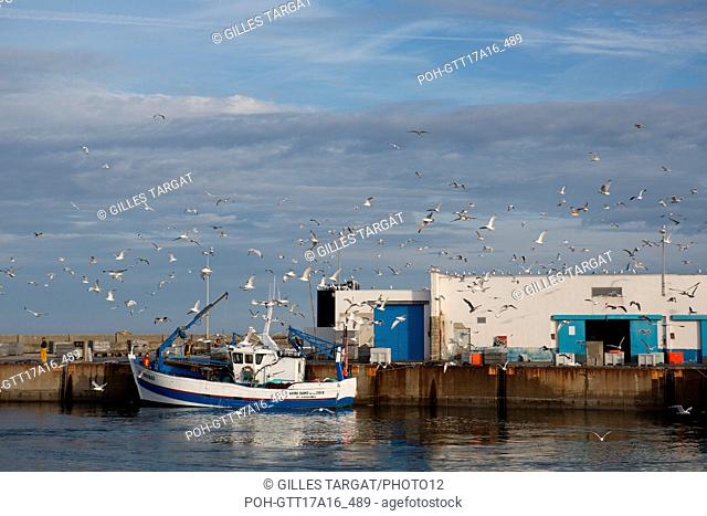 France, Brittany region, Southern Finistère, Bigouden land, Pointe de Penmarc'h, Saint-Guénolé, trawlers entering the port, sardines, Photo Gilles Targat
