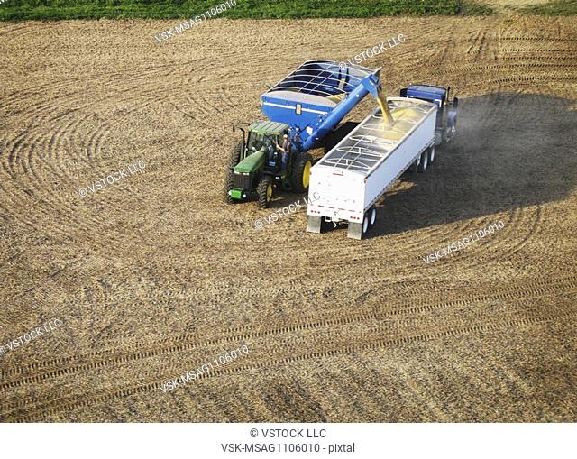 Farmer harvesting soybeans
