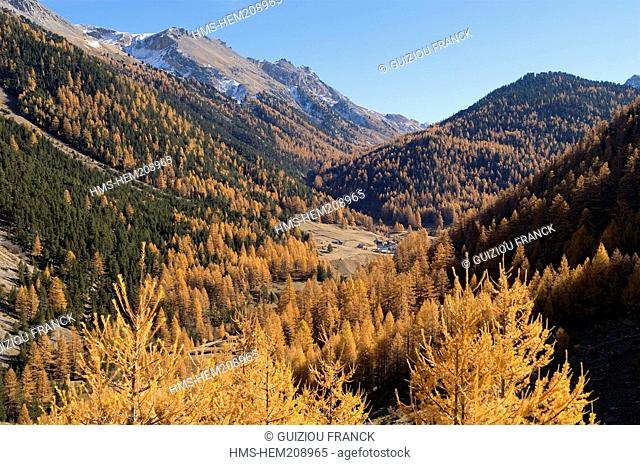France, Hautes Alpes, the Brianconnais area in autumn, Vallon des Ayes