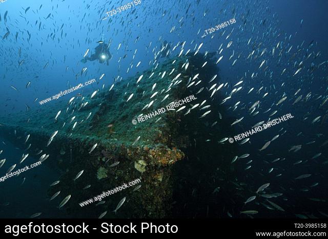 Scuba Diver at Vassilios Wreck, Vis Island, Mediterranean Sea, Croatia