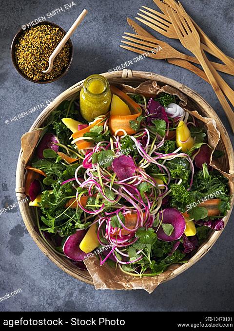 Colorful salad wuth kale, carrots, sesamy seeds, red cabbage, spinache, black radish, coriander and dressing