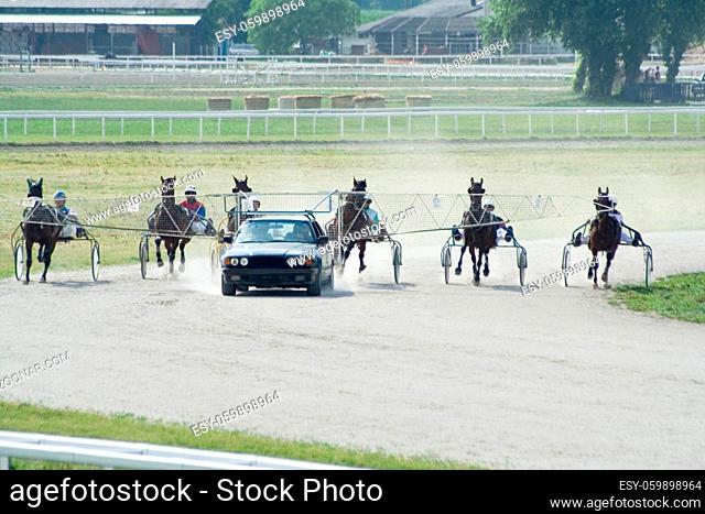 Trotter horse race