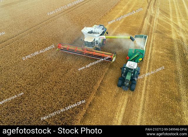 07 July 2021, Saxony-Anhalt, Zilly: A combine harvester bunkers the grains onto a tractor trailer during the harvest of barley