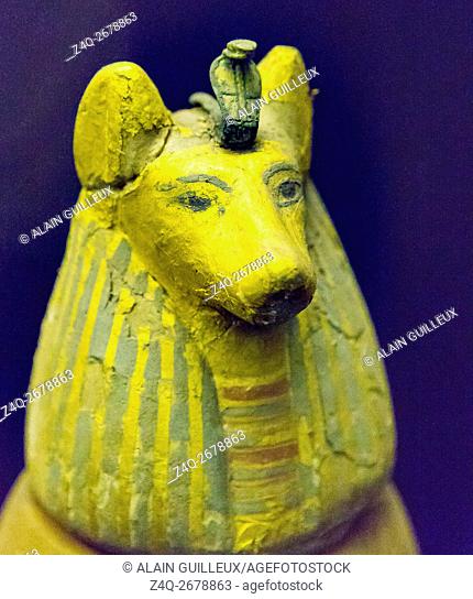 Egypt, Cairo, Egyptian Museum, found in the royal necropolis of Tanis, 1 of the 4 canopic vases of the king Psusennes. The plug is a jackal head