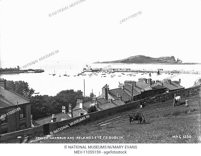 Howth Harbour and Ireland's Eye, Co. Dublin - an elevated view of Howth harbour and Ireland's Eye with cows in the foreground