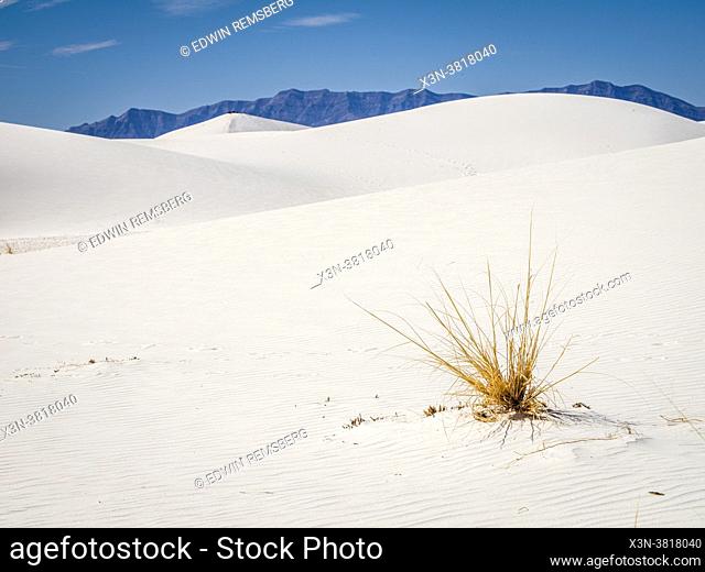 Curvy landscape of White Sands National Park, New Mexico,