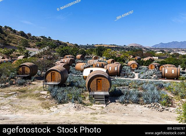 Hotel rooms in the form of a Tequila barrel in an blue agave field, Tequila Factory La Cofradia, Unesco site Tequila, Jalisco, Mexico, Central America