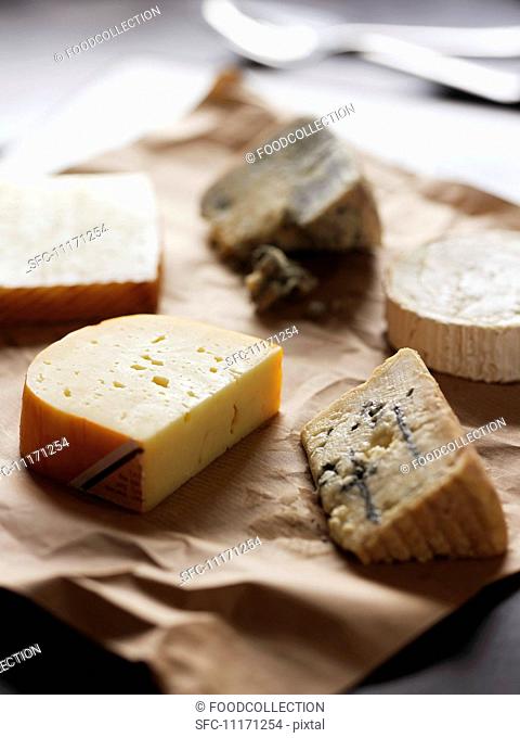 Various types of cheese on paper