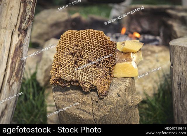 Carolingian period. Hypothetical reenactment of customs and traditions in a Frank village (9th- half 10th Century). Beehive and beeswax