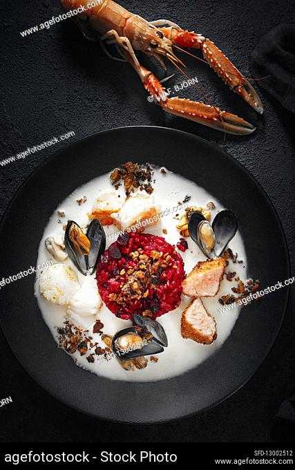 Beetroot risotto with seafood, stollen topping and ginger sauce