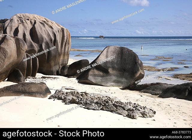 Some rocks on Anse Source D'Argent beach on La Digue island. Seychelles. Low tide. Many peaces of dead corals are littered on the sandy beach