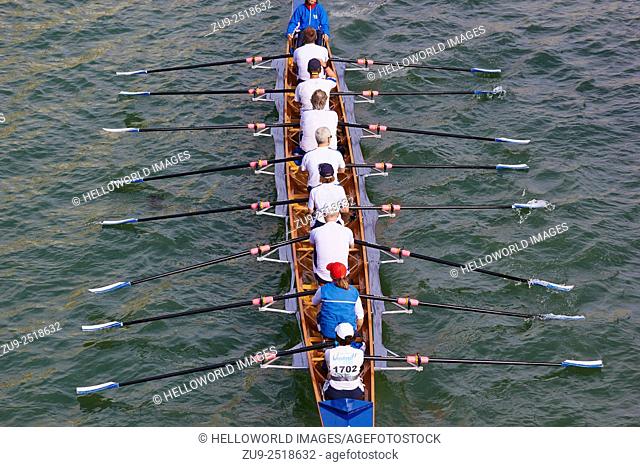 A boat taking part in the Vogalonga rows along the Grand Canal. . It is a non competitive race first held in 1975 with the message to protest against the...