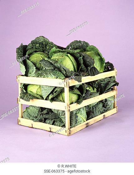 Green cabbages in crate