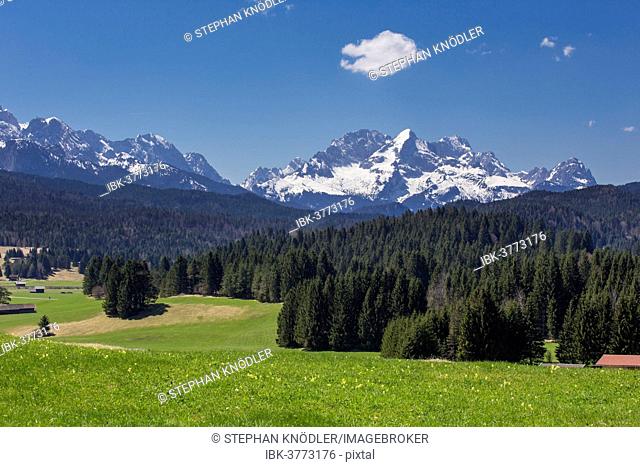 Meadow and forest in front of Alpspitze Mountain and the Wetterstein Mountains, Mittenwald, Bavaria, Germany