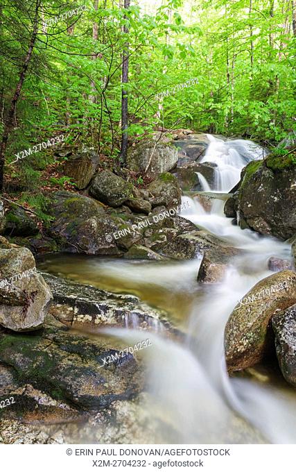 Clough Mine Brook, a tributary of Lost River, in Kinsman Notch of Woodstock, New Hampshire USA during the spring months