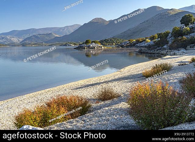 Lake Skadar beach at Donji Murici village, Montenegro, Europe
