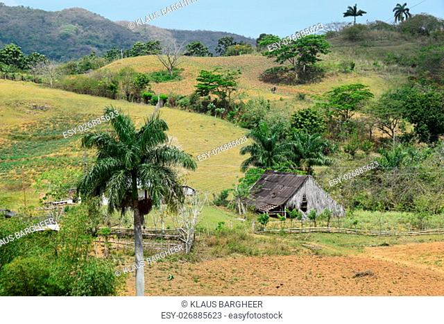 cuban hills