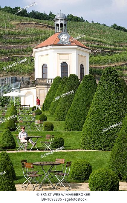 Castle Wackerbarth, vinery, garden with Belvedere and vineyards in Radebeul near Dresden, Germany