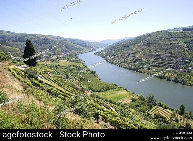 Douro river in Regua with vineyards. Vila Real, Portugal