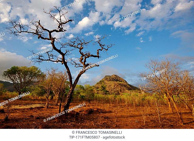 Africa, Mozambique, Quirimbas national Park, inselberg rock formation emerging from savanna in Meluco area