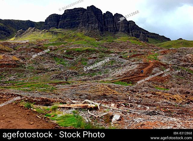 Inner Hebrides, Isle of Skye, Trotternish Peninsula, forest clearance, clear felling, road construction on the Storr Massif, clearing, Scotland, Great Britain