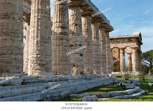 Greek Temples in Campania, Italy: Foreground - Basilica aka Temple of Hera I, Background - Temple of Neptune Poseidon aka Temple of Hera II, detail view