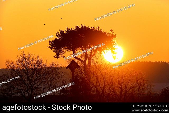 08 February 2023, Baden-Württemberg, Riedlingen: Next to a tree and a wayside cross the sun rises in the morning and colors the sky in orange tones Photo:...