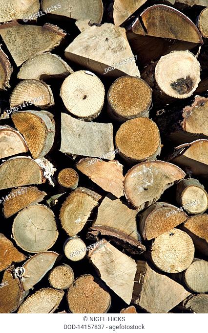 Lithuania, Curonian Spit, Nida, Close-up of stored fuel wood next to house