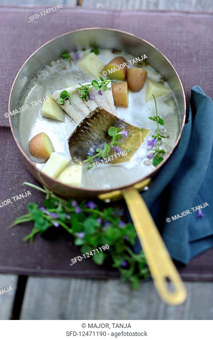 Carp with potatoes and ground ivy
