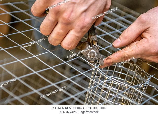 Man's hands uses wire cutter on crab pot while constructing, Dunkirk, MD