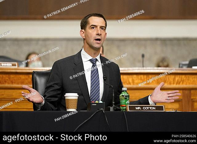 United States Senator Tom Cotton (Republican of Arkansas), speaks during a Senate Armed Services Committee hearing on the conclusion of military operations in...