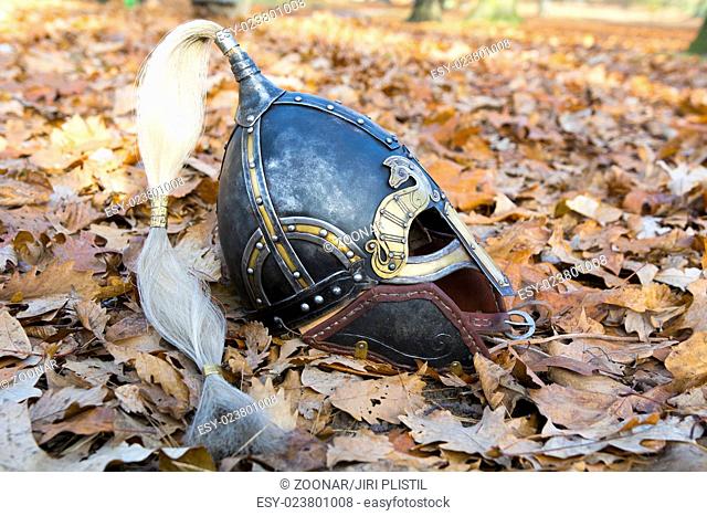 Old forged Viking helmet on a leaf