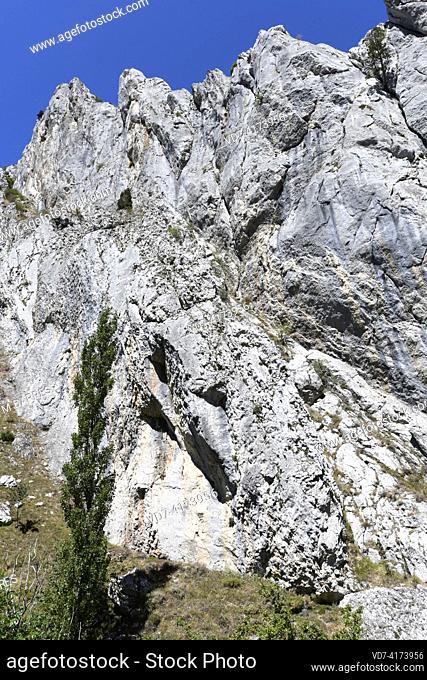Fold with vertical strata in Mampodre Mountain range. Lois, Crémenes, León, Spain