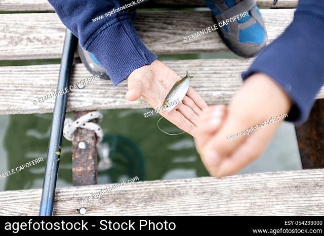 Child hands with freshly caught fish in the lake, Lake Maggiore, Italy