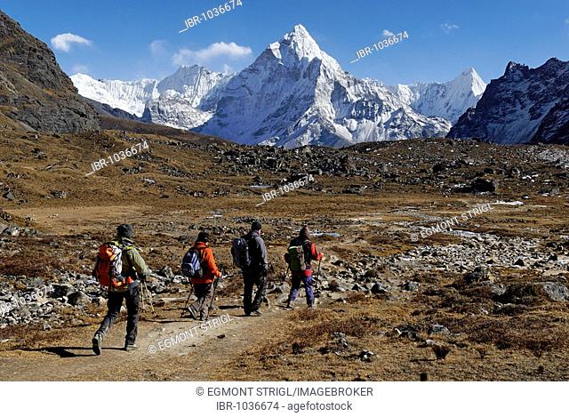 Trekking group at Chola Khola Valley near Dzonglha in front of Mount Ama Dablam, 6856m, Sagarmatha National Park, Khumbu Himal, Nepal, Asia