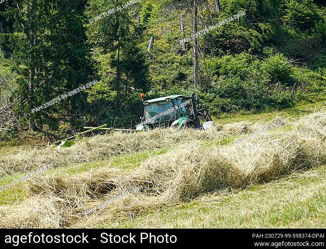 09 July 2023, Lower Saxony, Herzberg/Ot Lonau: A farmer turns the mown grass with the help of his tractor on a meadow in the deciduous forest on the outskirts...