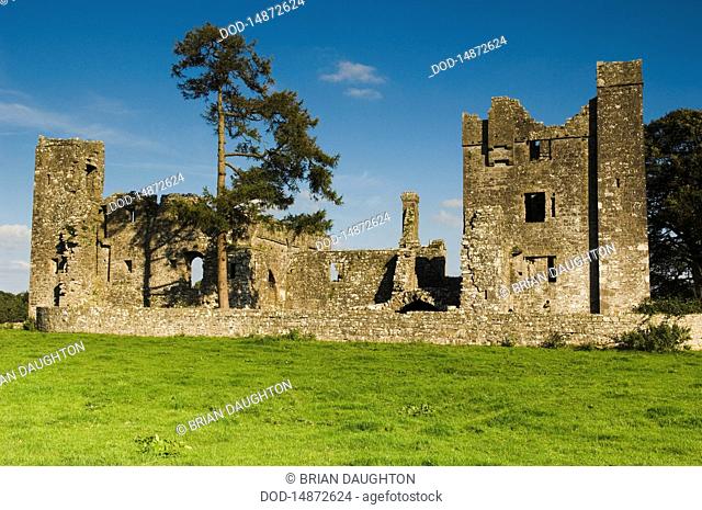 Republic of Ireland, Boyne Valley, Bective Abbey