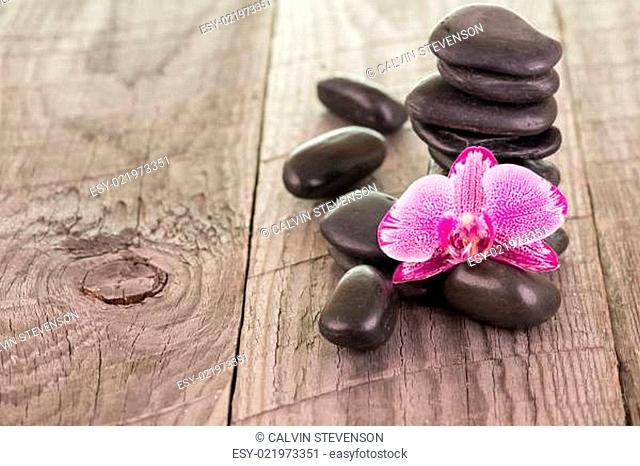 Fuchsia Moth Orchid and black stones on weathered deck close-up
