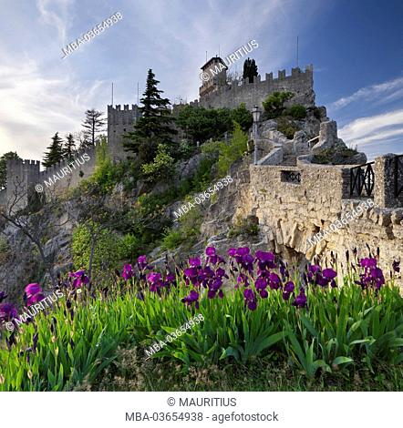 Irises in front of the Guaita Fortress, Monte Titano, Republic of San Marino