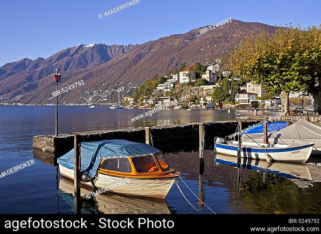 Monte Verita and Moscia, old harbour, Ascona, Lake Maggiore, Ticino, Lake Maggiore, Switzerland, Europe