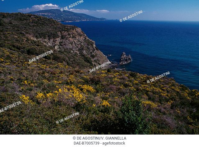 View of Capoliveri, Elba, Tuscan Archipelago National Park, Tuscany, Italy