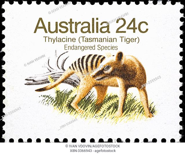 Tasmanian tiger, Thylacine, Thylacinus cynocephalus, postage stamp, Australia, 1981