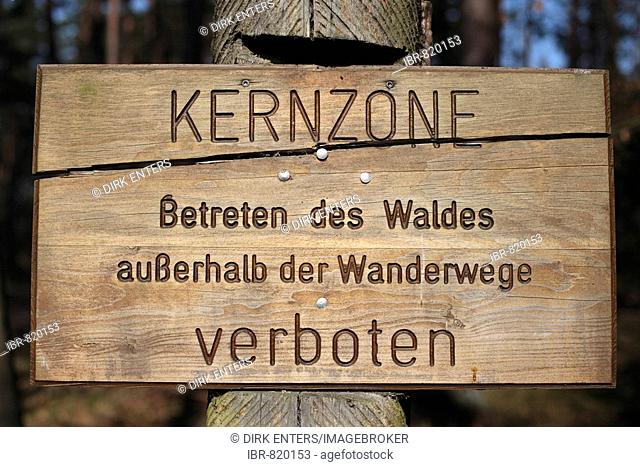 Kernzone, core area, Darsswald, Darss Forest, Darss, Nationalpark Vorpommersche Boddenlandschaft, Western Pomerania Lagoon Area National Park